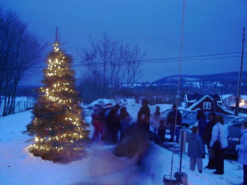 Tree is lit! December 8, 2002. IM003883.JPG